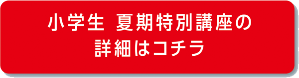 小学生　夏期特別講座の詳細はコチラ