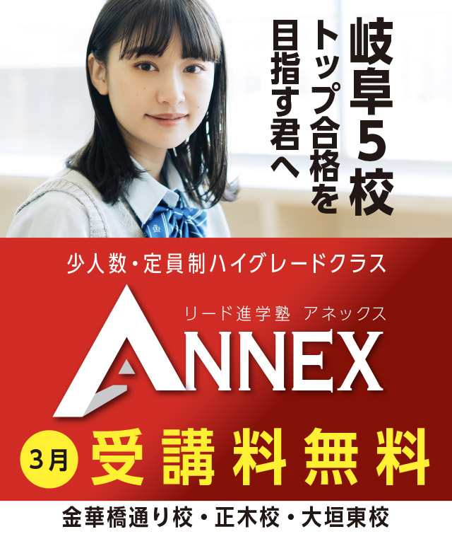 ANNEX